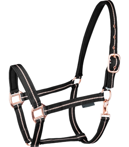 Kantar-WALDHAUSEN-Rose-black-01
