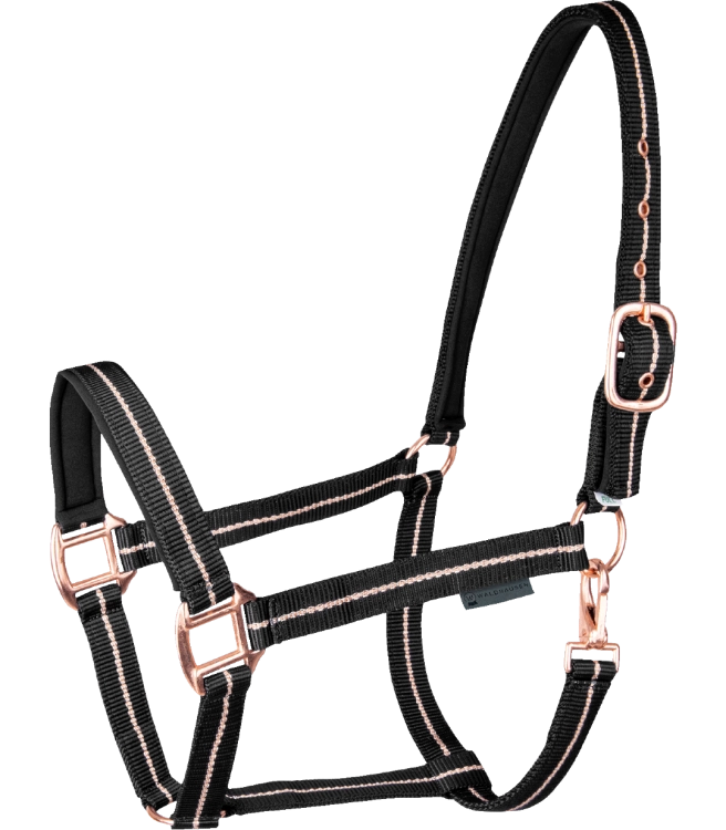 Kantar-WALDHAUSEN-Rose-black-01