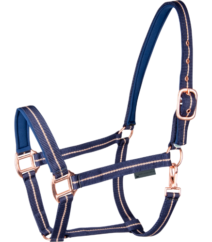 Kantar-WALDHAUSEN-Rose-night-blue-01