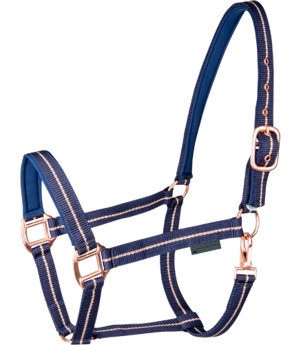 Kantar-WALDHAUSEN-Rose-night-blue-01