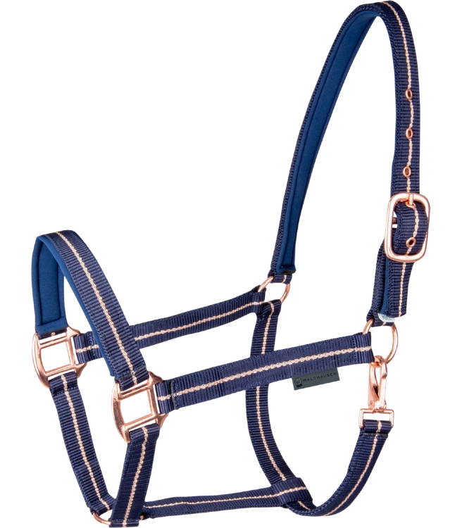 Kantar-WALDHAUSEN-Rose-night-blue-01