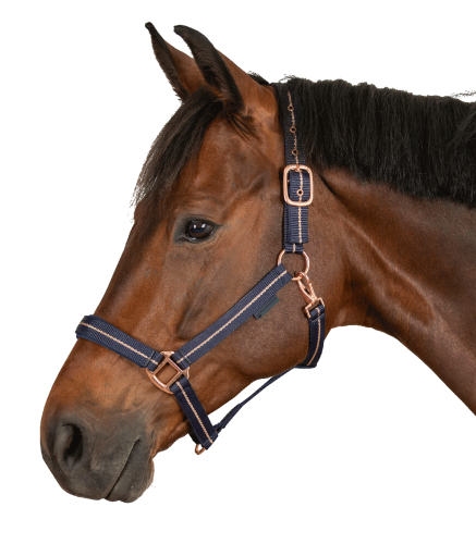 Kantar-WALDHAUSEN-Rose-night-blue-02