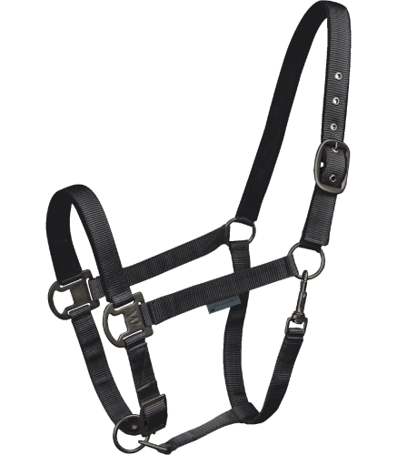 Kantar-WALDHAUSEN-Gloomy-black-01