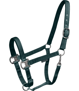Kantar WALDHAUSEN "Gloomy" fir green