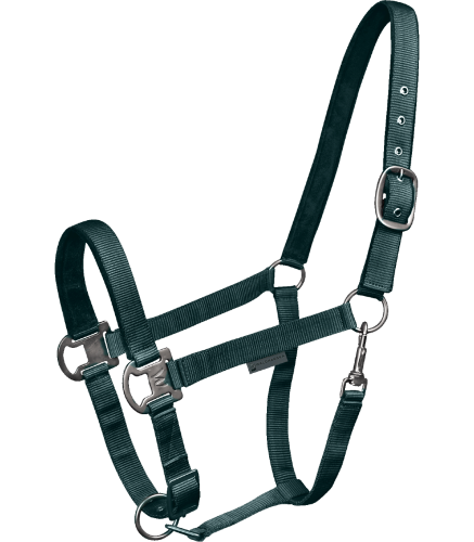 Kantar-WALDHAUSEN-Gloomy-fir-green-01