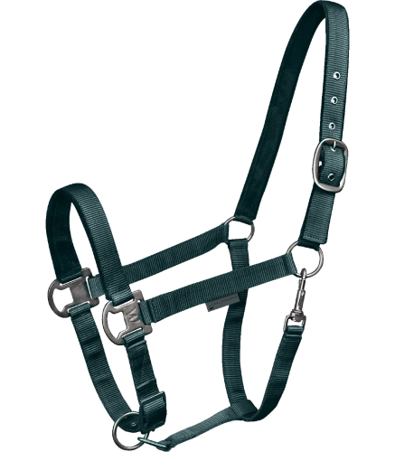 Kantar-WALDHAUSEN-Gloomy-fir-green-01