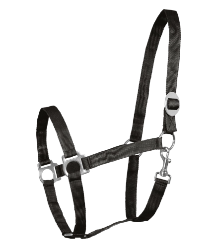 Kantar-WALDHAUSEN-Perlon-black-01
