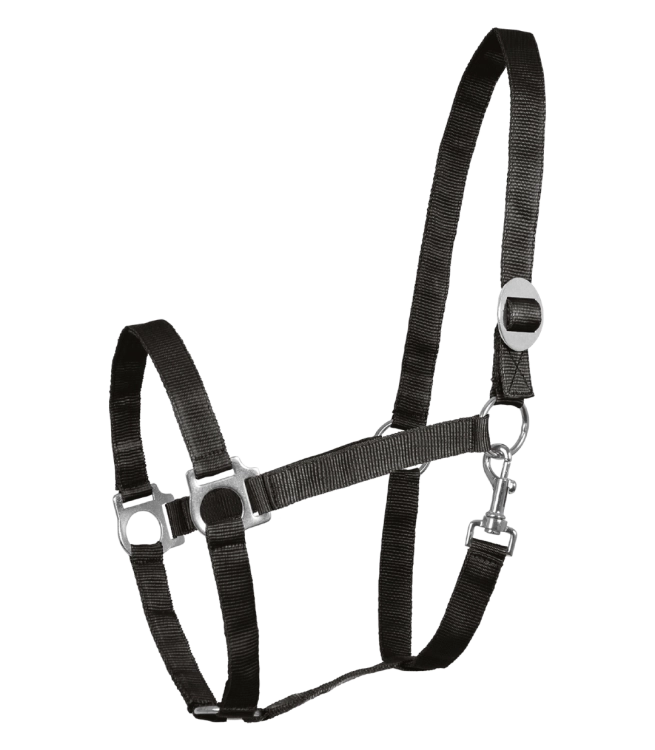 Kantar-WALDHAUSEN-Perlon-black-01