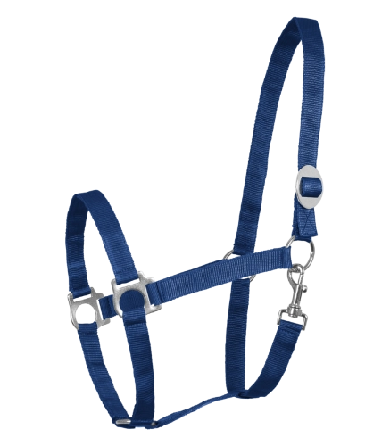 Kantar-WALDHAUSEN-Perlon-blue-01