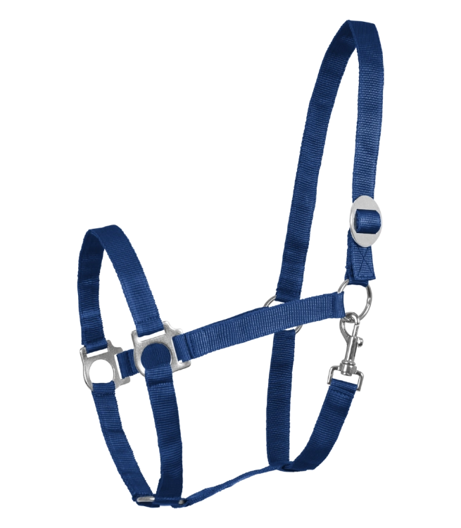 Kantar-WALDHAUSEN-Perlon-blue-01