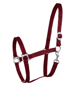 Kantar WALDHAUSEN "Perlon" bordeaux