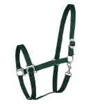 Kantar-WALDHAUSEN-Perlon-fir-green-01