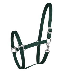 Kantar WALDHAUSEN "Perlon" fir green