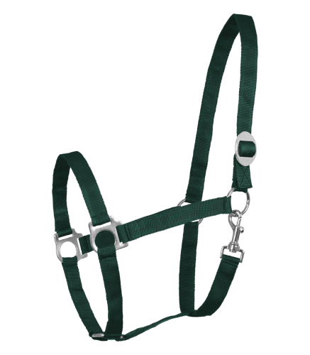 Kantar-WALDHAUSEN-Perlon-fir-green-01