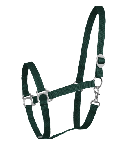 Kantar-WALDHAUSEN-Perlon-fir-green-01