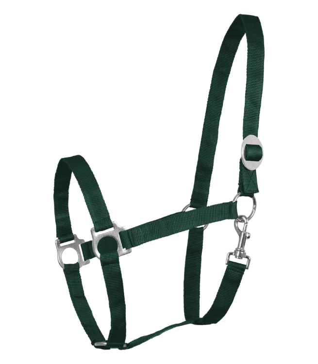 Kantar-WALDHAUSEN-Perlon-fir-green-01