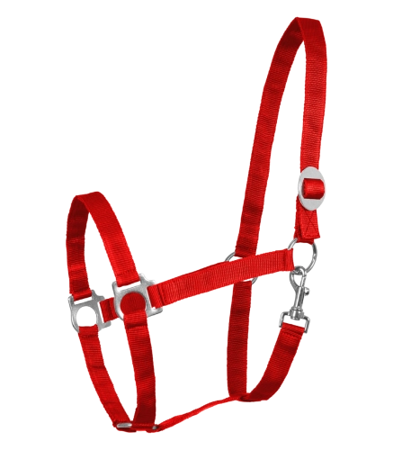 Kantar-WALDHAUSEN-Perlon-red-01