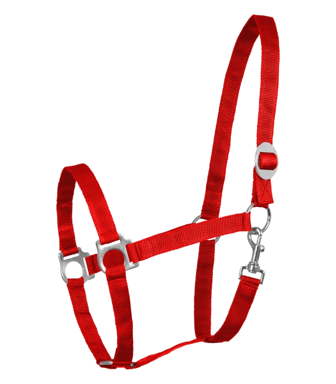 Kantar-WALDHAUSEN-Perlon-red-01