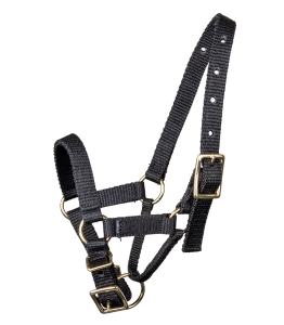 Kantar dla alpaki WALDHAUSEN "Alpaca Halter"