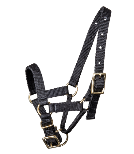 Kantar-dla-alpaki-WALDHAUSEN-Alpaca-Halter-01