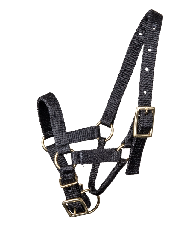 Kantar-dla-alpaki-WALDHAUSEN-Alpaca-Halter-01
