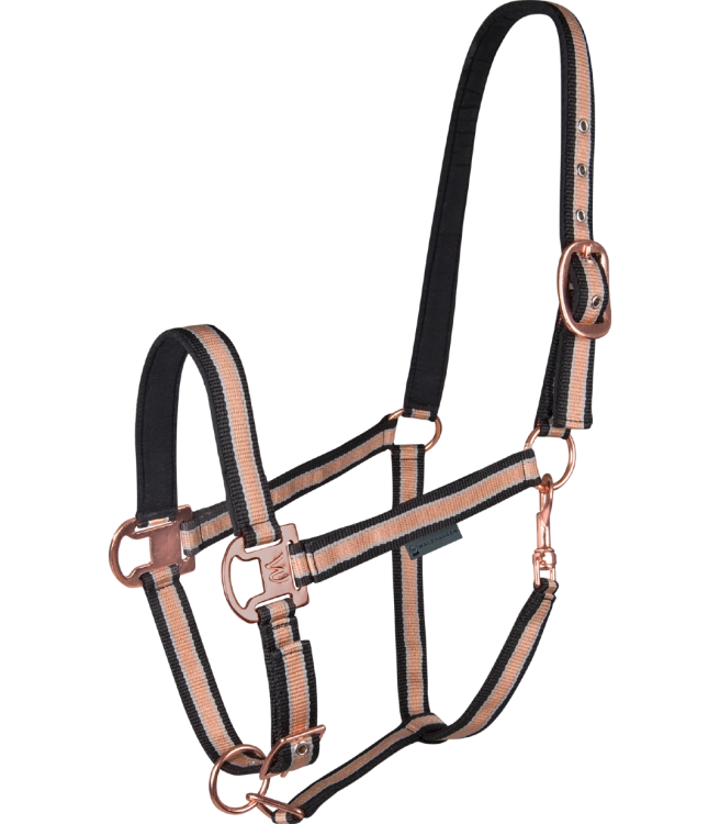 Kantar-WALDHAUSEN-Shine-black/rosegold-01