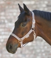 Kantar-WALDHAUSEN-Shine-white/rosegold-03