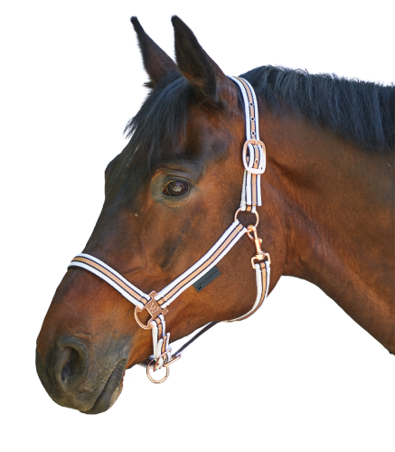 Kantar-WALDHAUSEN-Shine-white/rosegold-01