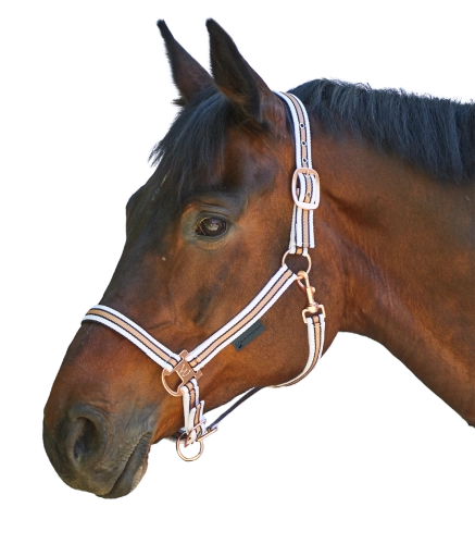 Kantar-WALDHAUSEN-Shine-white/rosegold-01