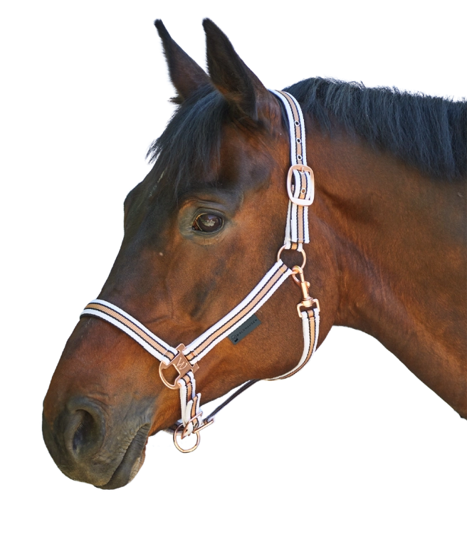 Kantar-WALDHAUSEN-Shine-white/rosegold-01