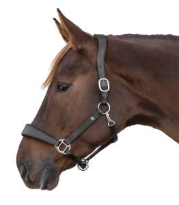 Kantar skórzany WALDHAUSEN "S-Line Anatomic" black