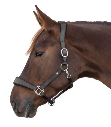 Kantar-skorzany-WALDHAUSEN-S-Line-Anatomic-black-01