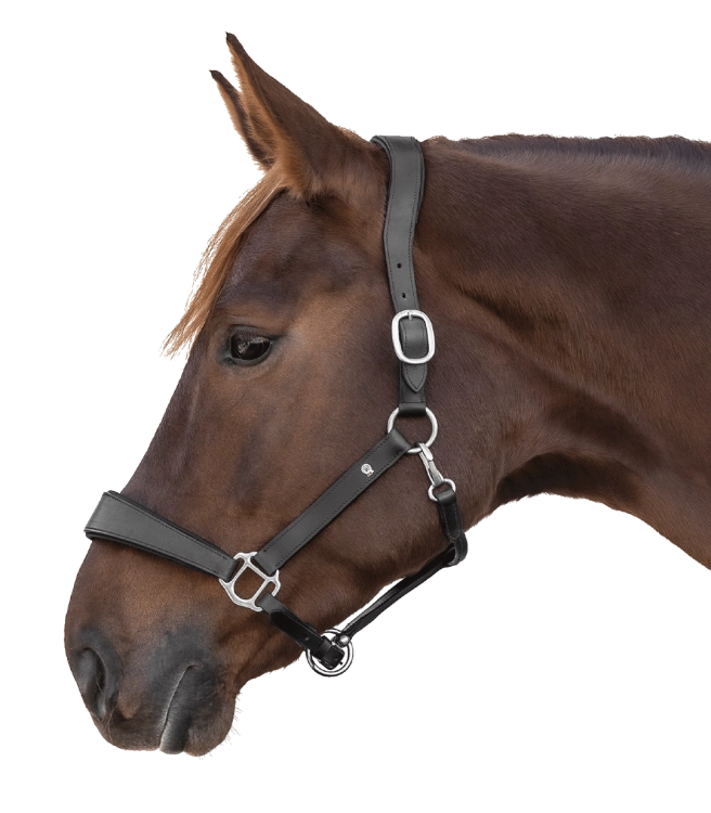 Kantar-skorzany-WALDHAUSEN-S-Line-Anatomic-black-01