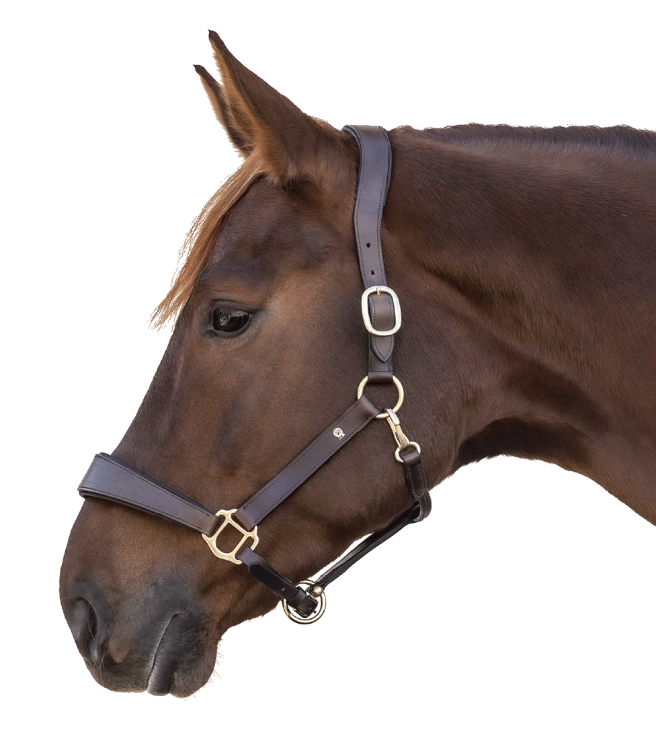 Kantar-skorzany-WALDHAUSEN-S-Line-Anatomic-brown-01