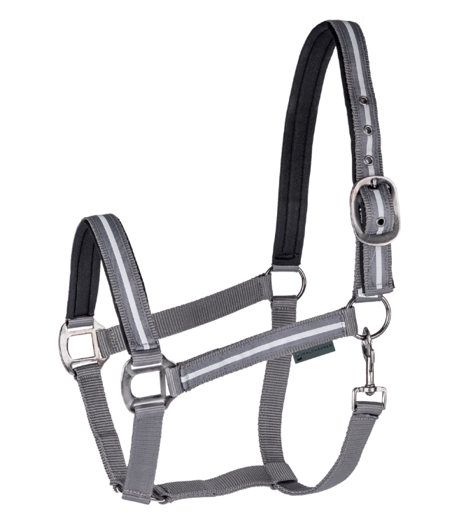 Kantar-WALDHAUSEN-Reflex-01