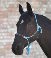 Kantar-sznurkowy-WALDHAUSEN-Pearls-azure-blue-02