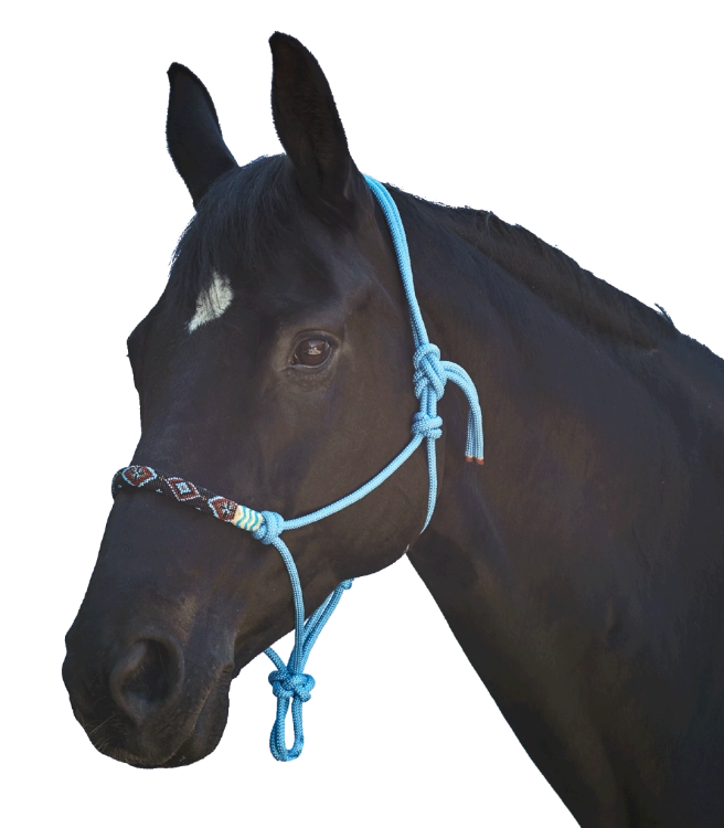 Kantar-sznurkowy-WALDHAUSEN-Pearls-azure-blue-03