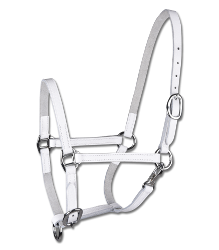 Kantar-skorzany-WALDHAUSEN-Foal-Show-white-01