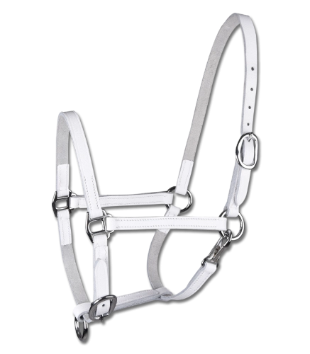 Kantar-skorzany-WALDHAUSEN-Foal-Show-white-01
