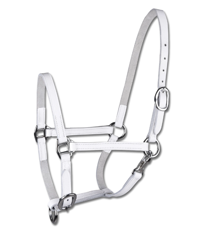 Kantar-skorzany-WALDHAUSEN-Foal-Show-white-01
