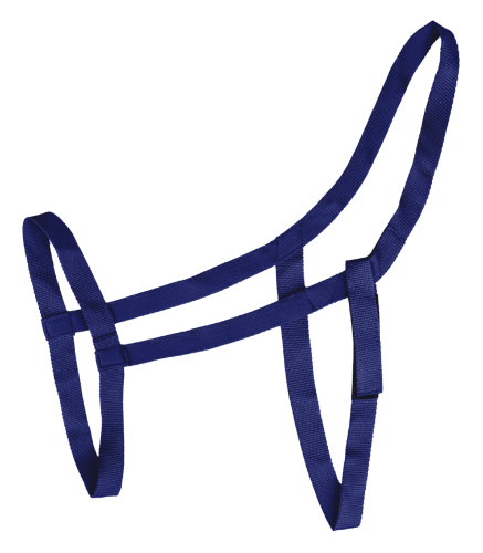 Kantar-WALDHAUSEN-Pasture-night-blue-01