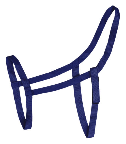 Kantar-WALDHAUSEN-Pasture-night-blue-01