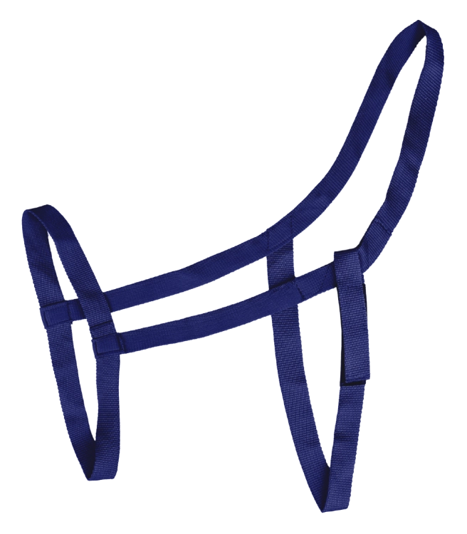 Kantar-WALDHAUSEN-Pasture-night-blue-01