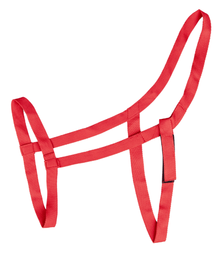 5045304-PON_03_1920x1920.png