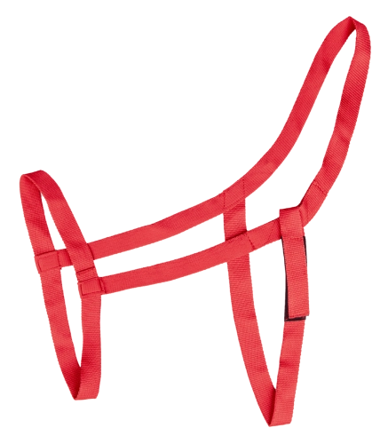 5045304-PON_03_1920x1920.png