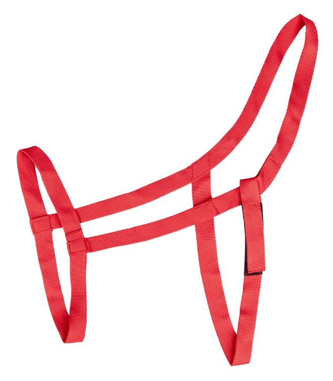 5045304-PON_03_1920x1920.png
