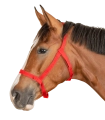 5045304-PON_04_1920x1920.png