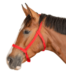 5045304-PON_04_1920x1920.png