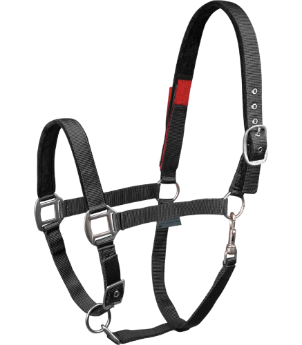 Kantar-WALDHAUSEN-Clever-Open-black-01