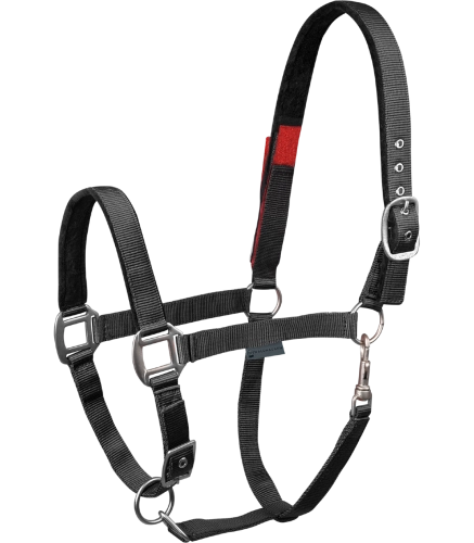 Kantar-WALDHAUSEN-Clever-Open-black-01
